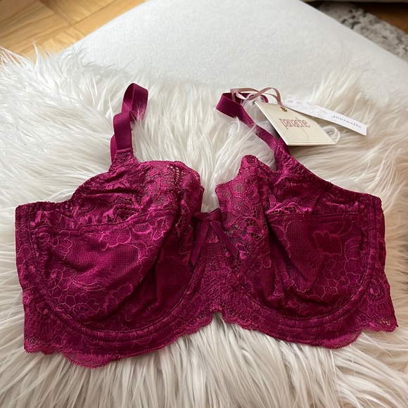 Other - NWT Panache Bra